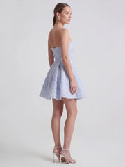 Exquisite Mesh & Sequin Bandeau Mini Dress